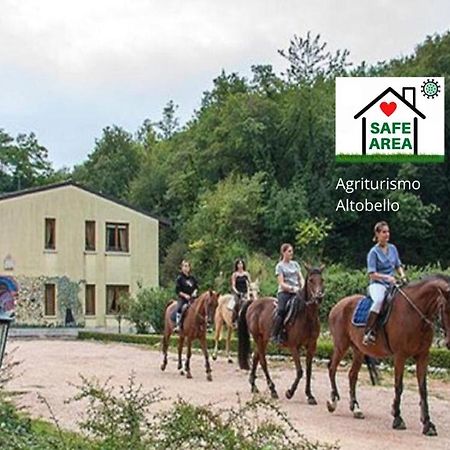 Agriturismo Altobello Verona Exterior photo